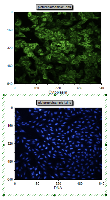 图T28.15  Changing the Image Parameter of a Picture Plot (修改图像绘图的图像参数)